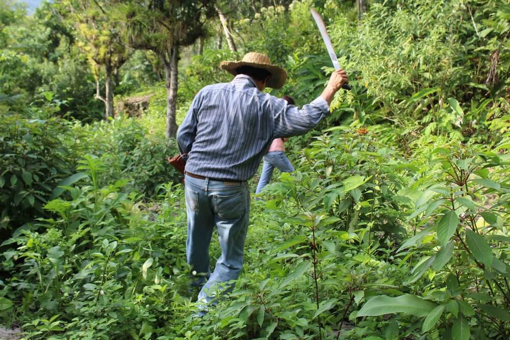 Outdoor Camping Survival Store -Outdoor Camping Survival Store 2